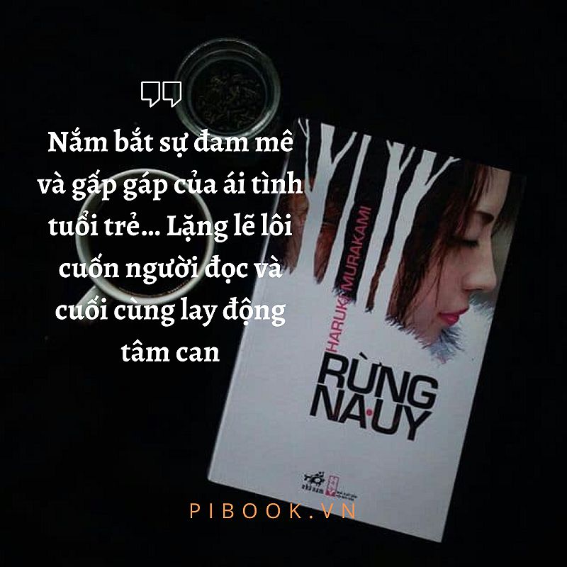 Review sách Rừng Nauy